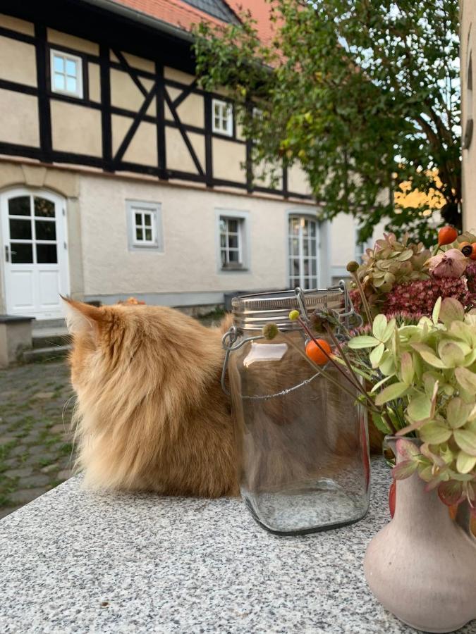 Studio Auf Denkmalgeschuetztem Dreiseithof In Hoefgen Bei Grimma Hofgen  ภายนอก รูปภาพ